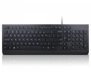Lenovo Essential keyboard USB French, German Black
